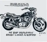 Andy Warhol, Mineola Motorcycle (positive), 1985-86, synthetic polymer paint and silkscreen ink on canvas