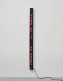 Jenny Holzer, Shark
