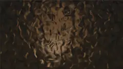 Oliver Sutherland, Waving, 2012, two channel HD video, monitors
