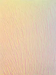 Michael Staniak, IMG_885 (holographic), 2014, casting compound and acrylic on board with steel frame