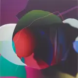 Luis Hidalgo, 024_VL0, 2013, digital painting on mirror
