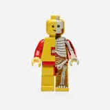 Jason Freeny, LEGO Man Dissected (2)