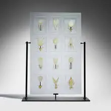 Steffen Dam, The Fifth Season, 2006, blown, cast, fused, and polished glass, enameled metal