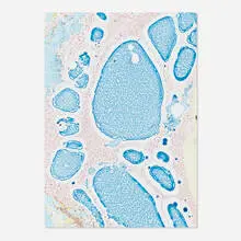 Philip Taaffe, Untitled, 2002, oil on paper