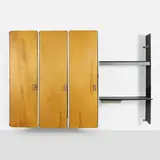 ECS by Charles and Ray Eames, c. 1961, birch veneer, lacquered pressboard, aluminum, enameled steel, rubber, plastic, laminate, sold Feb 2024