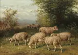 George Riecke, Sheep in a Pasture, Oil on canvas