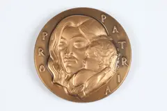 Joseph Emile Renier, For Country and Humanity, Bronze relief medallion