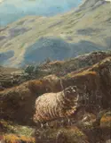 H.T. Beekman, Ram, Oil on canvas