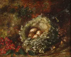 John Ankcorn, Chaffinch Nest, Oil on canvas