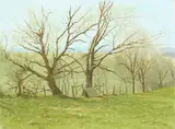 Anthony Watkins, Trappy Coop, Oil on canvas