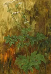 James Barclay Grahame, Queen Anne'S Lace, Oil on panel