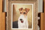 Adrienne Crombie, Portrait of a Fox Terrier, Oil on canvas