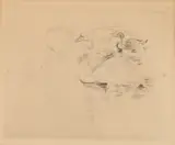 Berthe Morisot, Duck and Swan, DUCK AND SWAN, etching