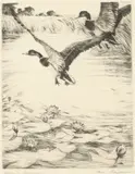 Hans Kleiber, Drakes in Summer