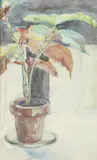 Mary Karasick, HOUSE PLANT and RED BLOOM: TWO WORKS, each signed lower right, Watercolor