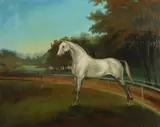H.J. Ferguson, Portrait of a Gray Standardbred Trotter, Oil on canvas laid on board