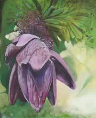 Manon Cleary, Study for Exotic Flower, Oil on canvas