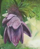 Manon Cleary, Study for Exotic Flower, Oil on canvas