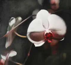 Manon Cleary, Exotic Bloom Series #2, Oil on canvas