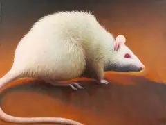 Manon Cleary, Rat, Oil on canvas