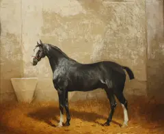 Jonny Audy, Portrait of Dark Gray Hackney, Oil on panel