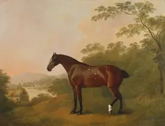 John Boultbee, A Horse in a Landscape, Oil on canvas