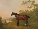 John Boultbee, A Horse in a Landscape, Oil on canvas