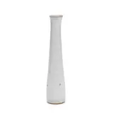 Rupert Spira, Vase