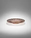 Aventurine Spirale Plate by Ercole Barovier, sold May 2023