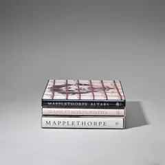 Untitled by Robert Mapplethorpe, 1995, sold Feb 2023