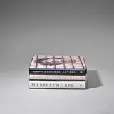Robert Mapplethorpe, Untitled