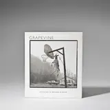 Susan Lipper, GRAPEVINE, 1994
