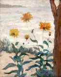 Samuel Mützner, Crizanteme la Balcic