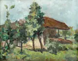 Nicolae Dărăscu, Casă la Vâlcov