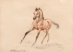 Marcel Chirnoagă, Pegas (2), 1958, creioane colorate și cărbune pe hârtie