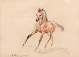 Marcel Chirnoagă, Pegas (2), 1958, creioane colorate și cărbune pe hârtie