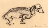 Rudolf Schweitzer–Cumpăna, Certat