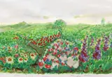 Magda Pelmuş, Lanuri de maci, 2003, acuarelă pe hârtie