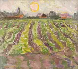 Eugenia Iftodi, Soare peste ogor
