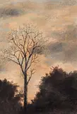 Costin Neamtu, Solitudine, cărbune și pastel pe hârtie