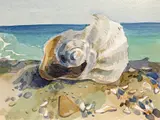Anamaria Smigelschi, Cochilii, 1975, acuarelă pe hârtie