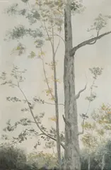 Marcel Bejgu, Liniștea fagului, 1992, ulei pe pânză