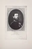 Theodor Aman, Carol I domnitorul românilor