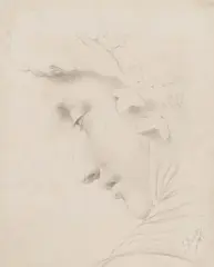 Slava Raškaj, Antički profil, 1893., olovka na papiru
