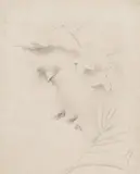 Slava Raškaj, Antički profil, 1893., olovka na papiru
