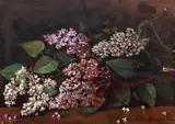 Liliac by Octav Băncilă, ulei pe carton, sold Oct 2023