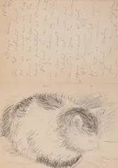 Miu by Sever Burada, 1966, creion pe hârtie, sold Sep 2023