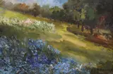 Maria Ionescu Bacaloglu, Câmp cu albăstrele, ulei pe carton