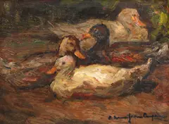 Rudolf Schweitzer–Cumpăna, Rățuște, ulei pe pânză
