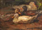 Rățuște by Rudolf Schweitzer–Cumpăna, ulei pe pânză, sold Jul 2023